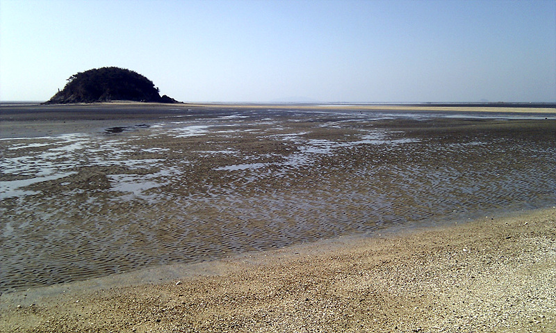 IMAG0079.jpg
