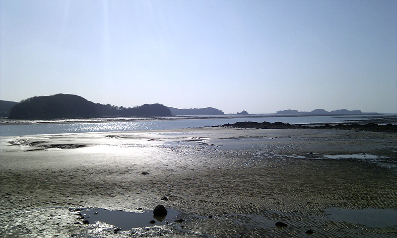 IMAG0075.jpg