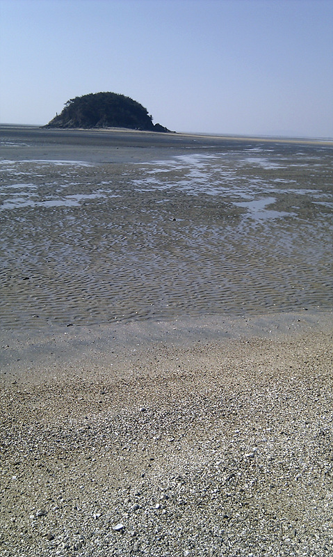IMAG0078.jpg